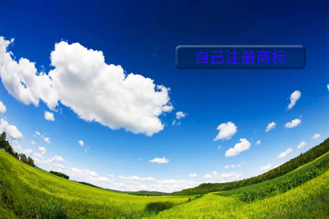 商標注冊是自己注冊好，還是找北京商標注冊公司注冊?