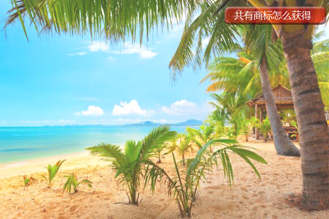 共有商標(biāo)怎么獲得 共有商標(biāo)怎么獲得