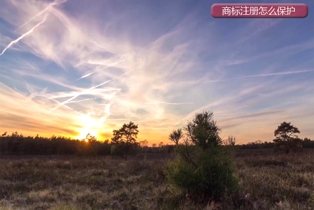 注冊商標應該怎么做保護? 注冊商標應該怎么做保護?