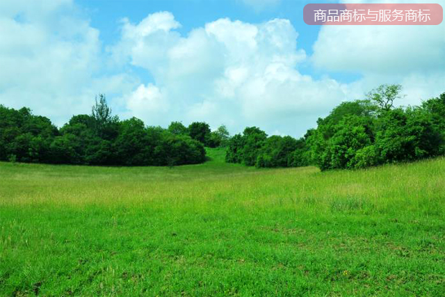 商品商標與服務商標有哪些不同的作用? 商品商標與服務商標有哪些不同的作用?