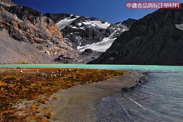 申請(qǐng)食品商標(biāo)注冊(cè)提供哪些材料 申請(qǐng)食品商標(biāo)注冊(cè)提供哪些材料