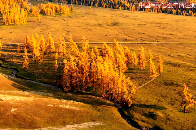 外國人或外國企業在中國申請商標注冊的具體程序
