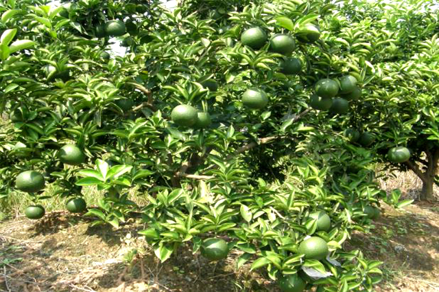 注冊商標在哪里查 注冊商標在哪里查